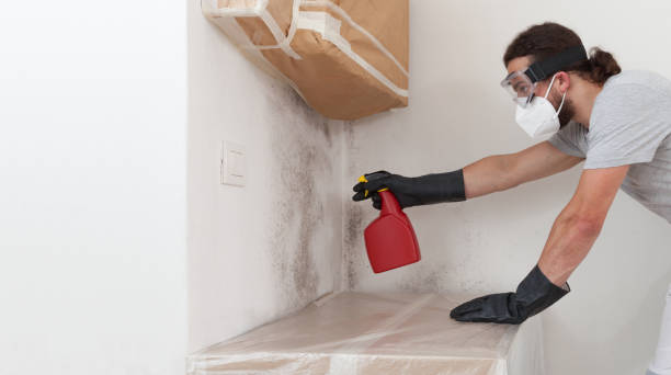 Professional Black Mold Remediation technician working in Montague, MI