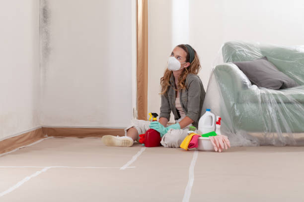 Reliable Black Mold Remediation contractor in Montague, MI by 24 Hour Mold Removal